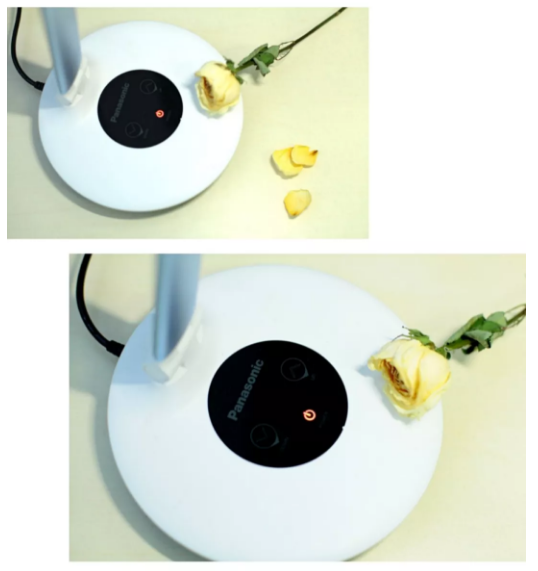 香港六宝曲资料大全