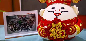 福禄寿喜报道，拓朴设计给您拜年啦！